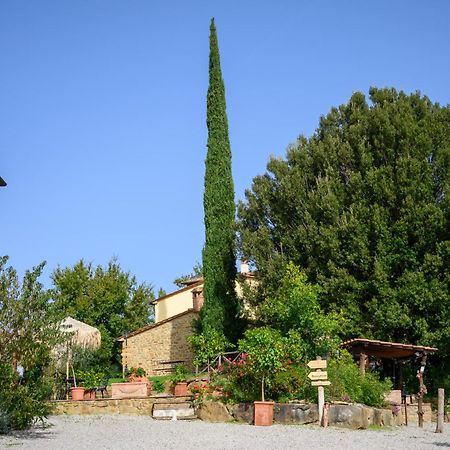 Agriturismo Borgo Sant'Ercolano 齐奇亚诺 外观 照片